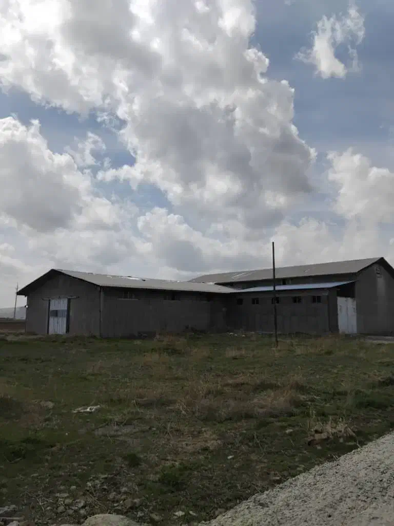 خوراک دام|فروش دفتر صنعتی، کشاورزی، تجاری|اهواز, مهرشهر|دیوار