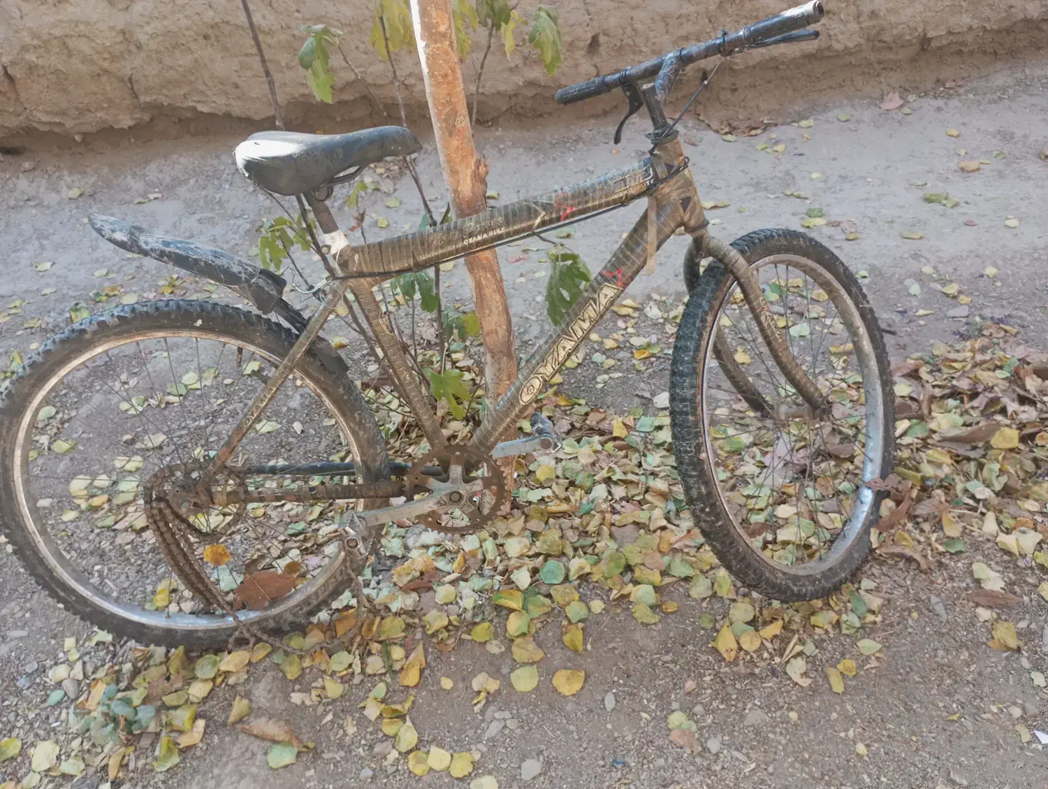 دوچرخه دماوند سایز ۲۶|دوچرخه، اسکیت، اسکوتر|گلبهار, شهر جدید گلبهار|دیوار