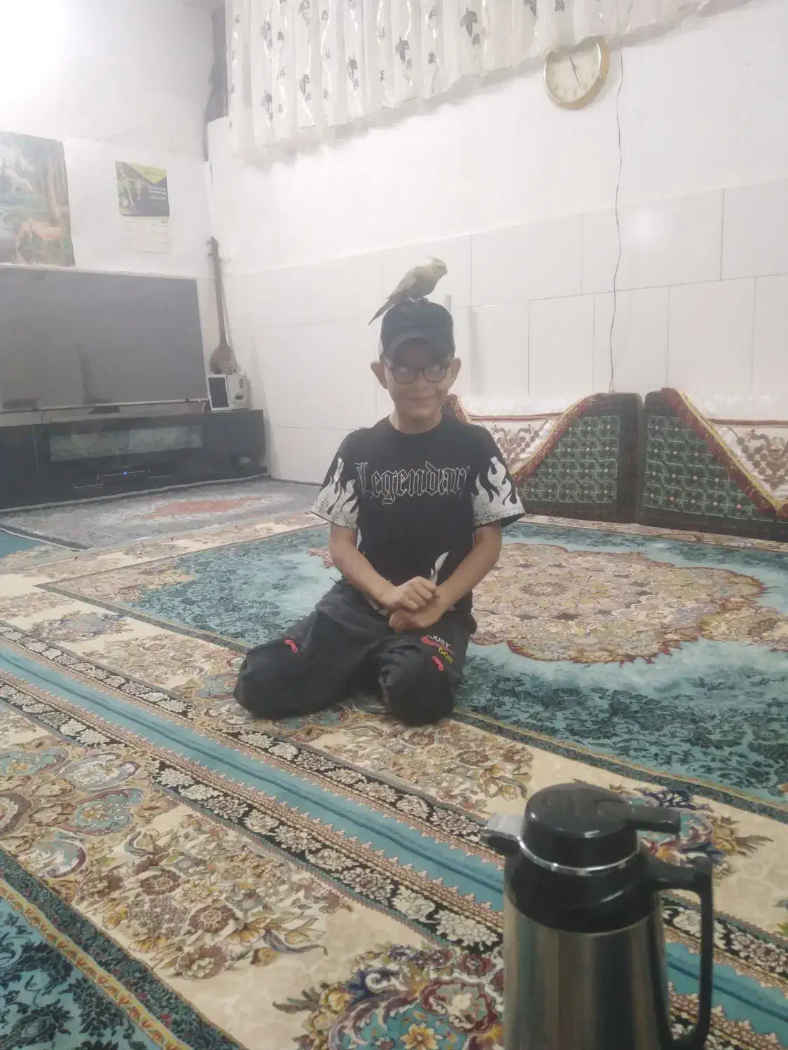 عروسی هلندی|پرنده|قم, چهل درخت‎|دیوار