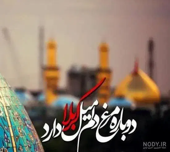 سفر زیارتی عتبات عالیات و کربلای معلی|تور و چارتر|گرگان, |دیوار