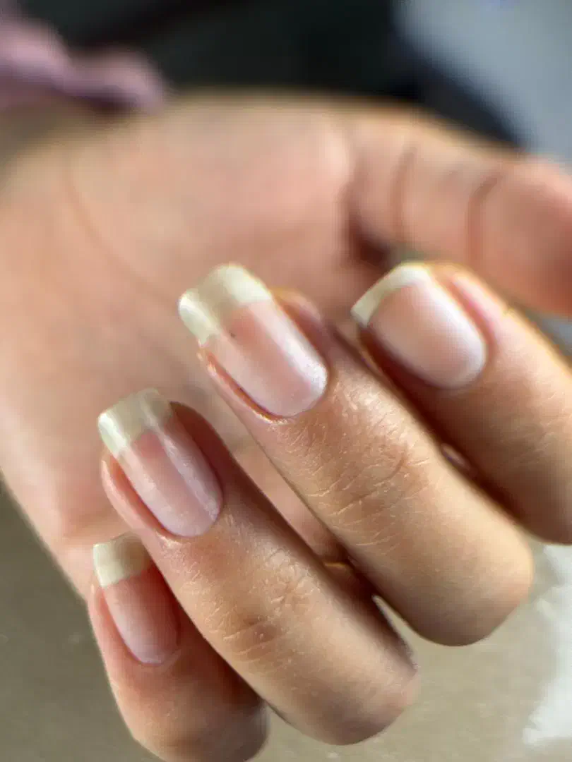 مدل ناخن|خدمات آرایشگری و زیبایی|مشهد, نوید|دیوار