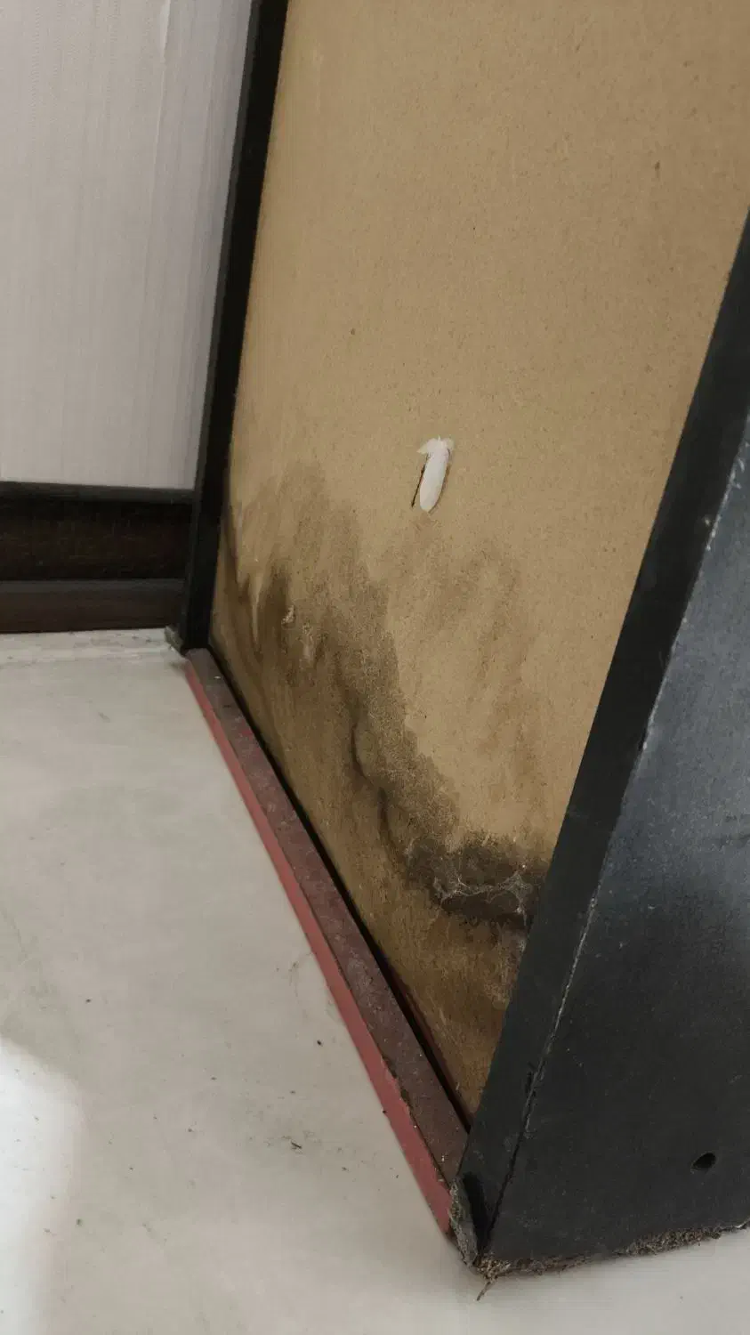 کتابخونه چوبی|کتابخانه، شلف، قفسههای دیواری|شیراز, شاهجیان|دیوار