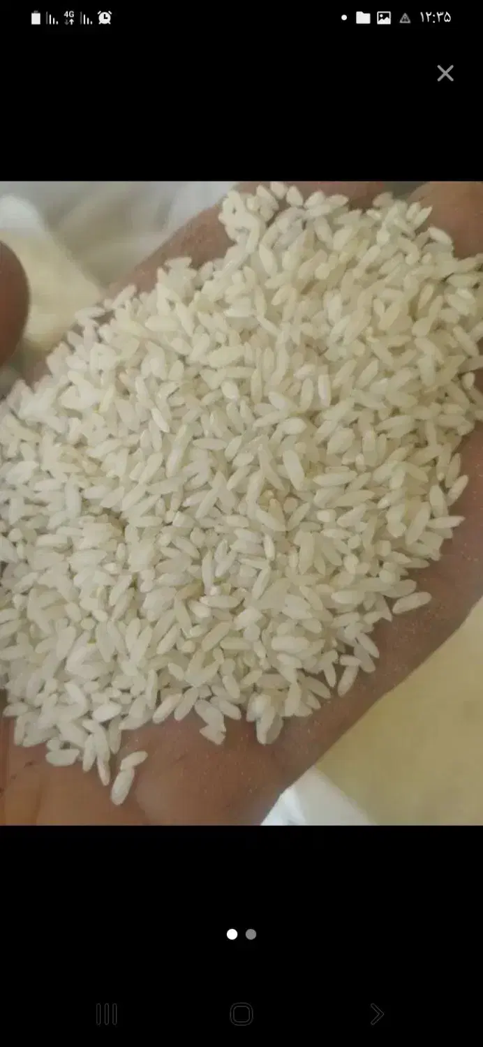 برنج|خوردنی و آشامیدنی|نجف‌آباد, جوزدان|دیوار