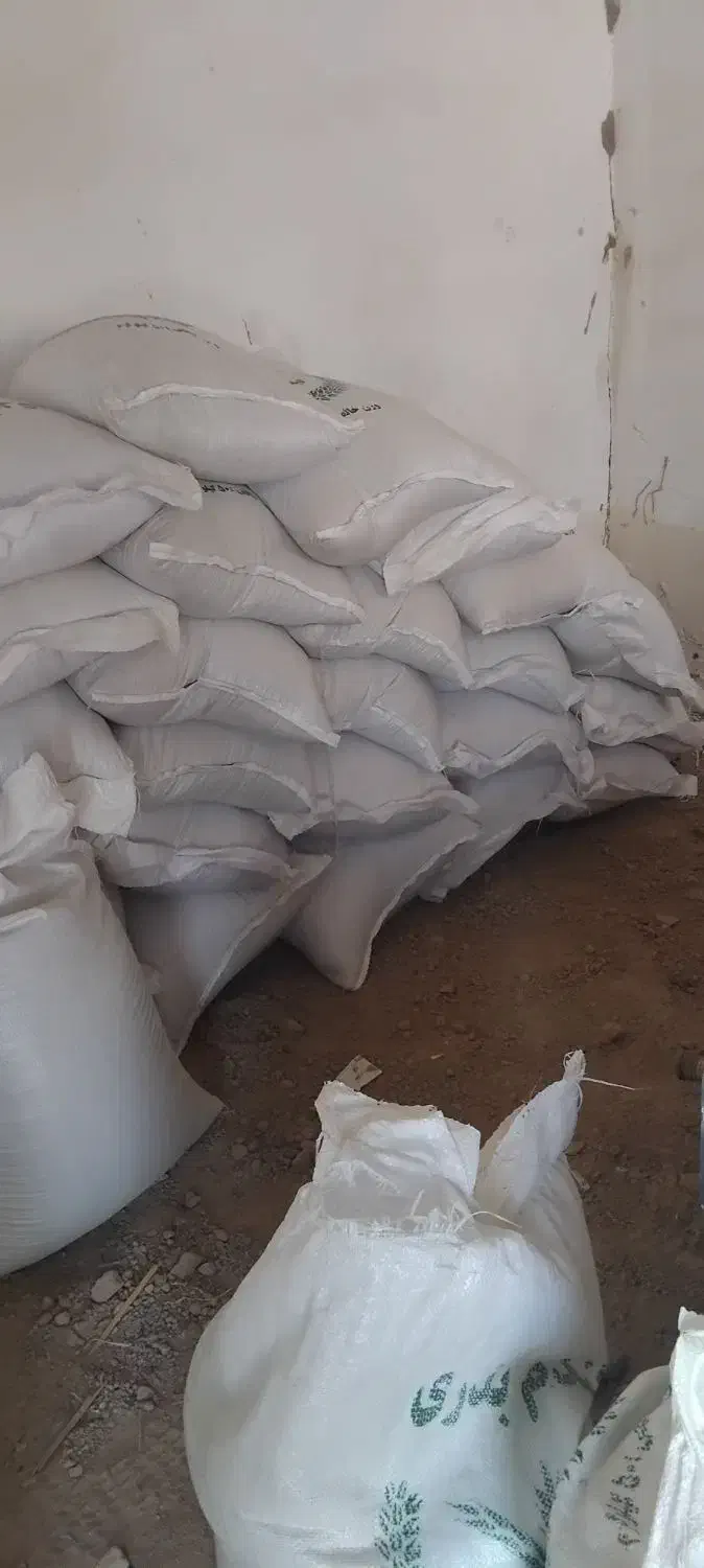 اهواز دغاغله گندم بزری|خوردنی و آشامیدنی|باوی, |دیوار