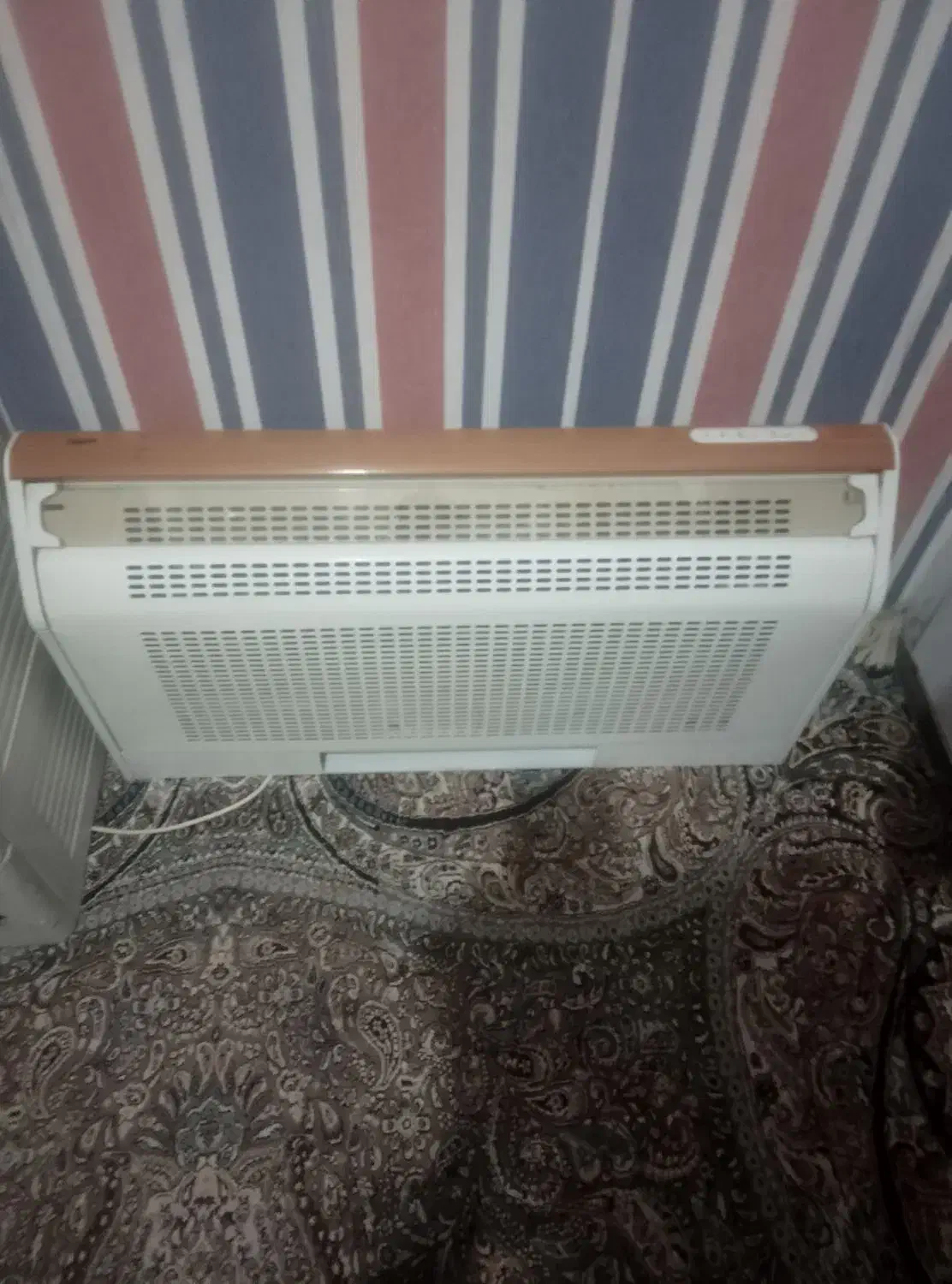 هود|هود|زاهدان, |دیوار