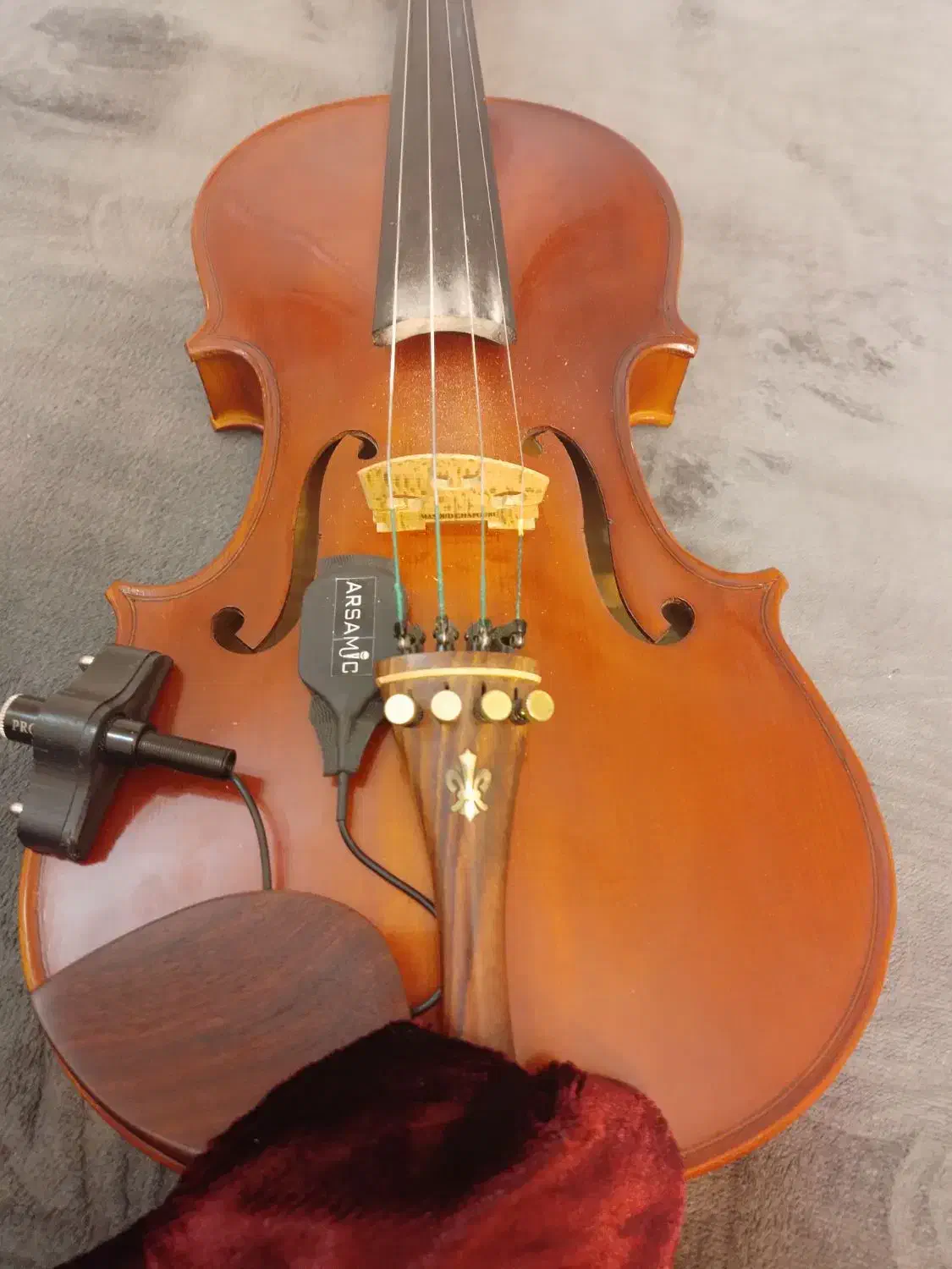 ویولن حرفه ای|ویولن|گلپایگان, |دیوار