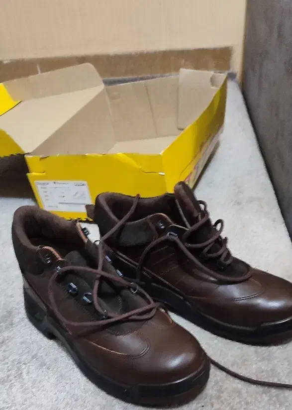 کفش ایمنی بهشتیان|کیف، کفش، کمربند|دوگنبدان, |دیوار