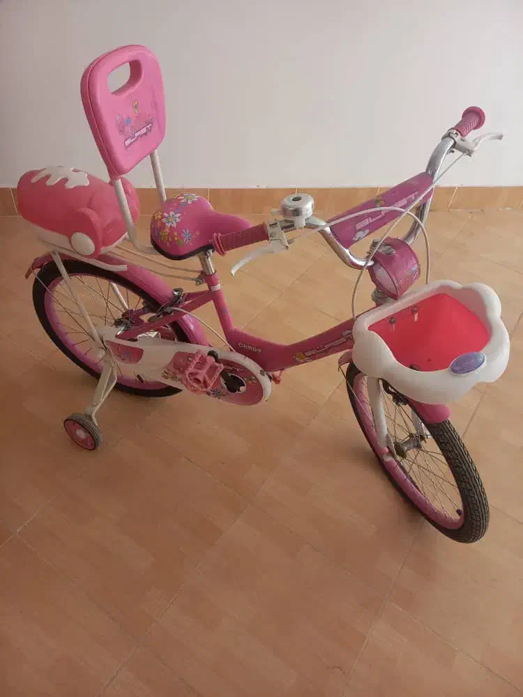 دوچرخه دخترانه درحد نو|دوچرخه، اسکیت، اسکوتر|سنندج, |دیوار