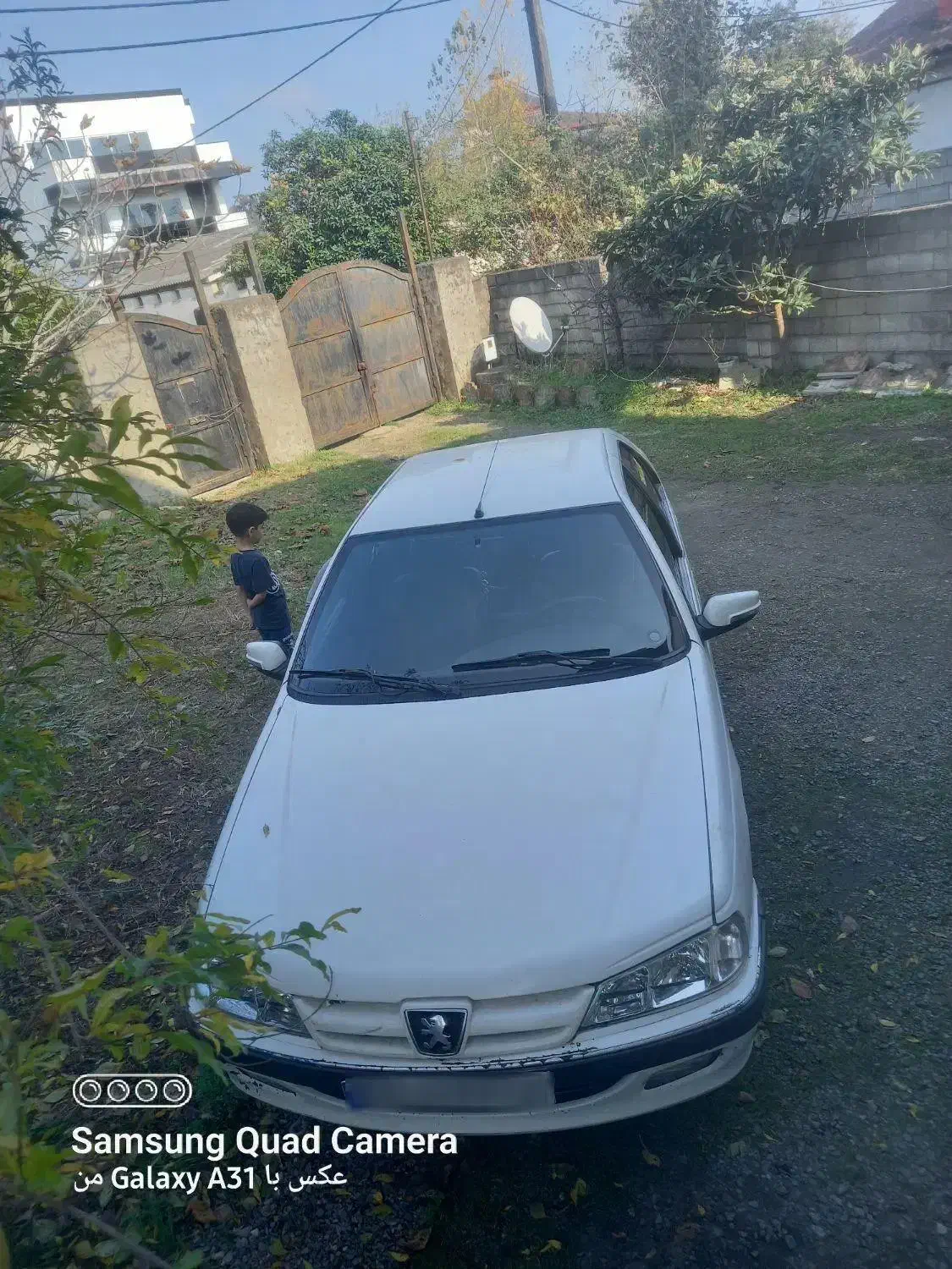 فروش پژو پارس مدل ۹۱ دوگانه فابریک|خودرو سواری و وانت|آمل, |دیوار