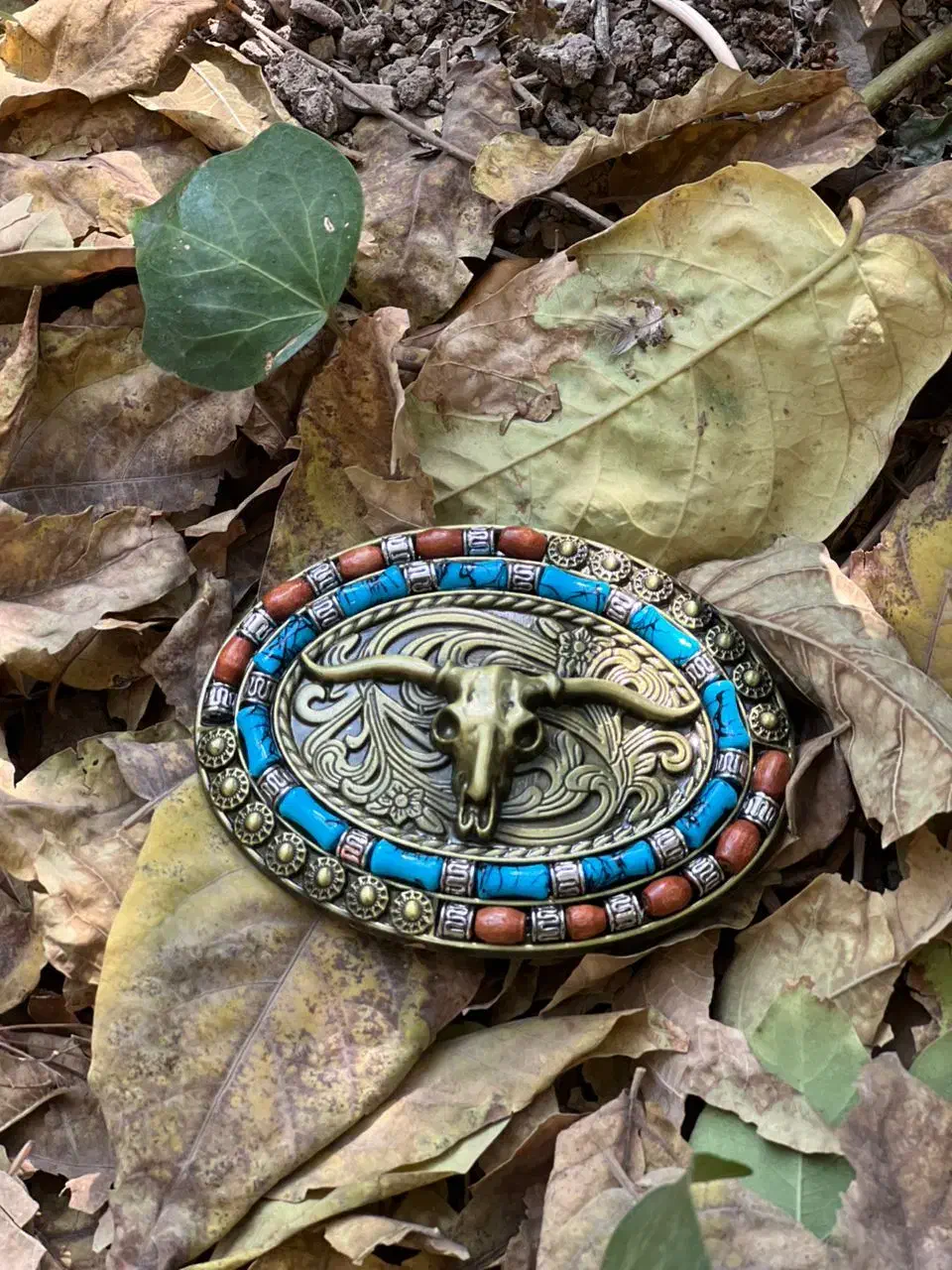 سگک کمربند|کیف، کفش، کمربند|فردیس, منظریه|دیوار