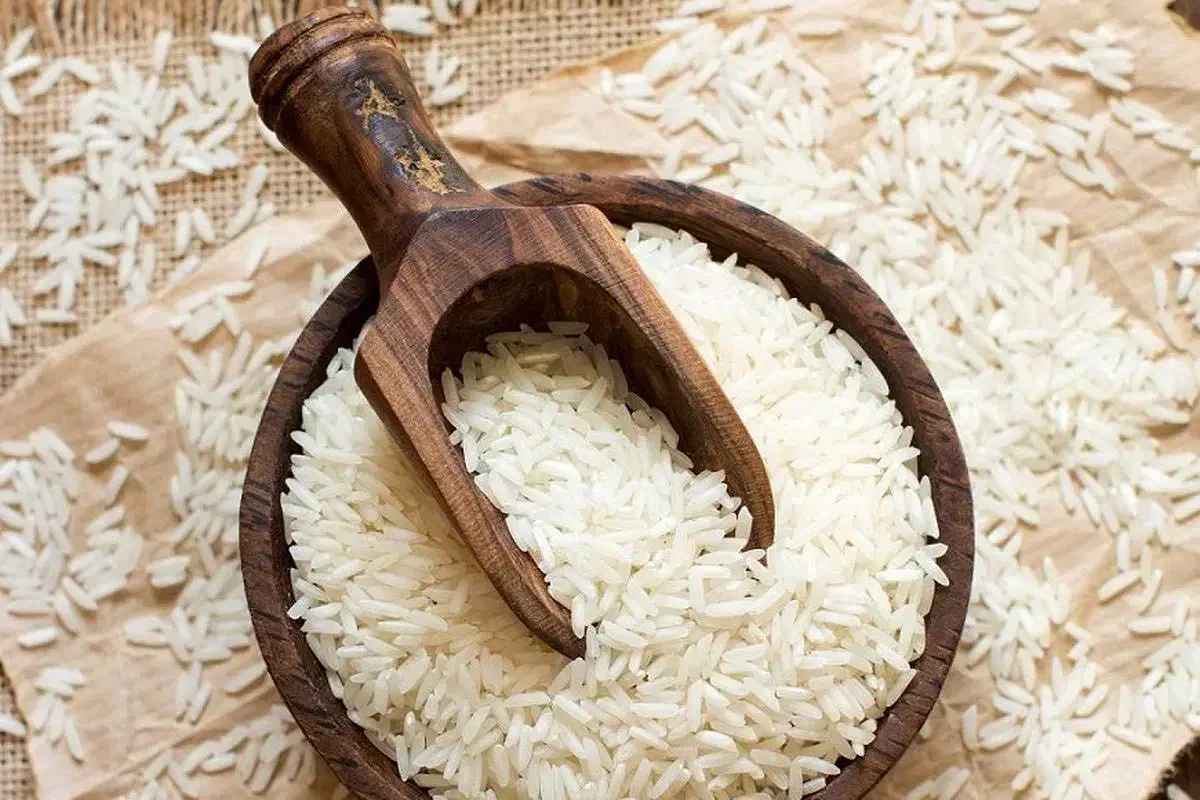 برنج طارم هاشمی بدون واسطه|خوردنی و آشامیدنی|سبزوار, توحیدشهر|دیوار