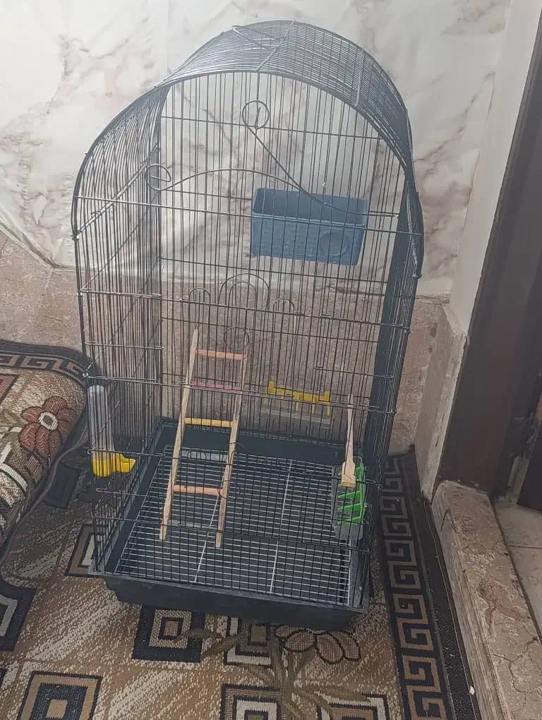 قفس پرنده|لوازم جانبی حیوانات|فولادشهر, B4|دیوار