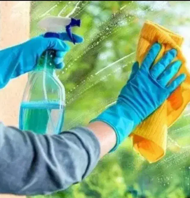 نظافت منزل|خدمات نظافت|سیرجان, |دیوار