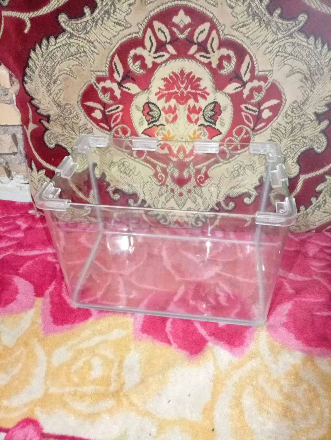 اکواریوم|ماهی|خرمشهر, |دیوار