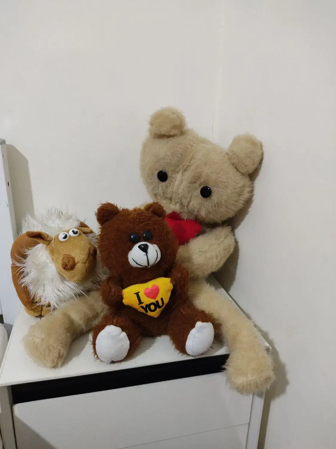 عروسکا باهم|اسباب‌‌بازی|یاسوج, |دیوار