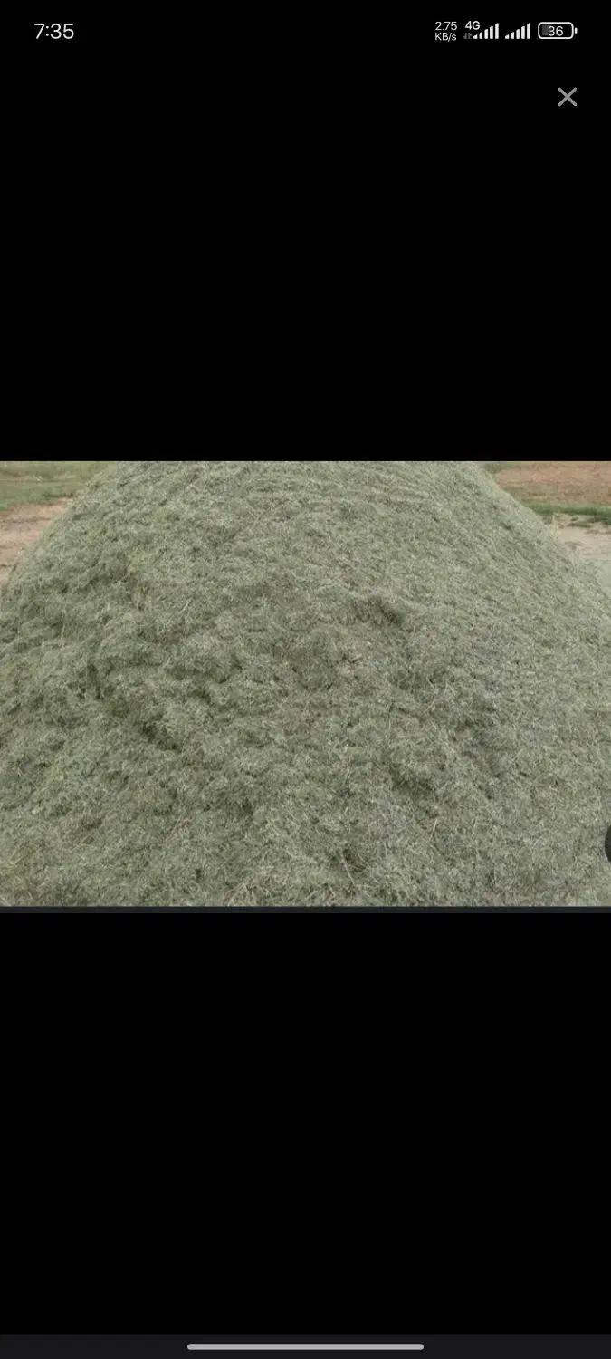 علوفه|لوازم جانبی حیوانات|دیواندره, |دیوار