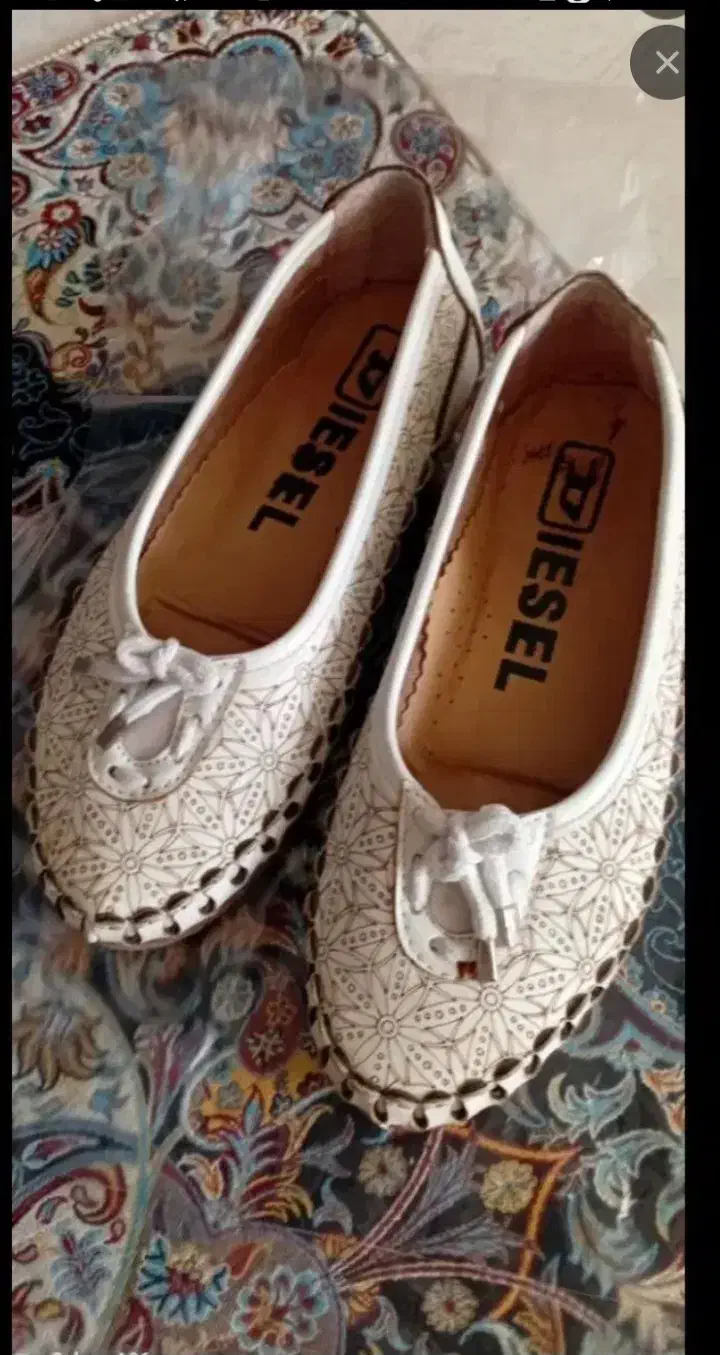 کفش مجلسی|کیف، کفش، کمربند|بیرجند, |دیوار