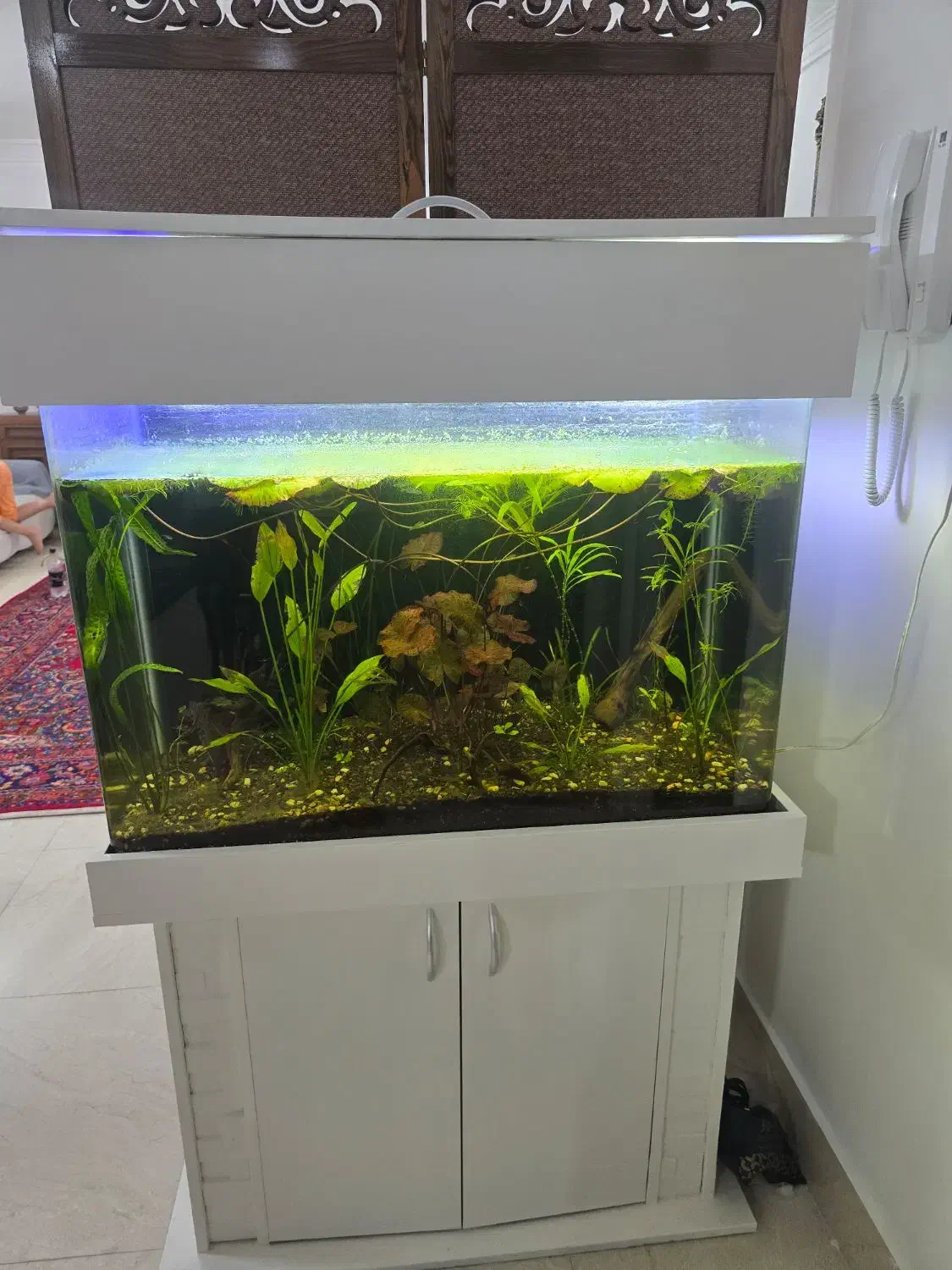 آکواریوم خم ۹۰ درجه کمدار پایه دار|ماهی|مشهد, فاطمیه|دیوار