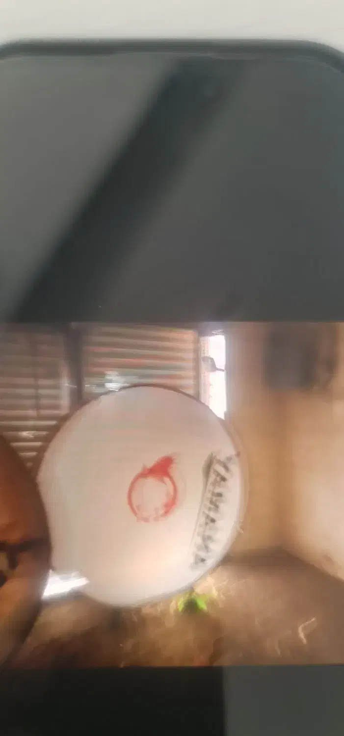 تبل مداحی|درام و پرکاشن|اسلام‌شهر, شهرک واوان|دیوار