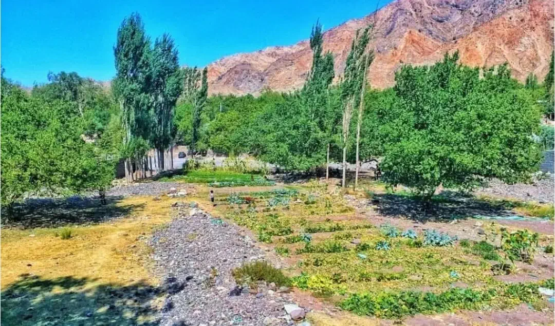 زمین دهبکری لب جاده اصلی|فروش زمین و ملک کلنگی|دهبکری, |دیوار