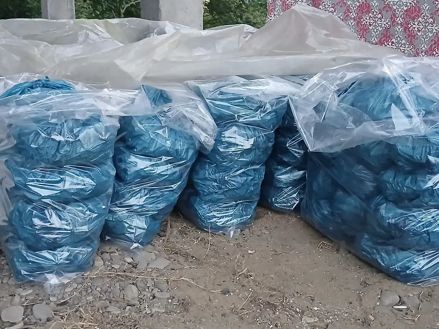 زغال|عمده‌فروشی|رشت, آب آسیاب|دیوار