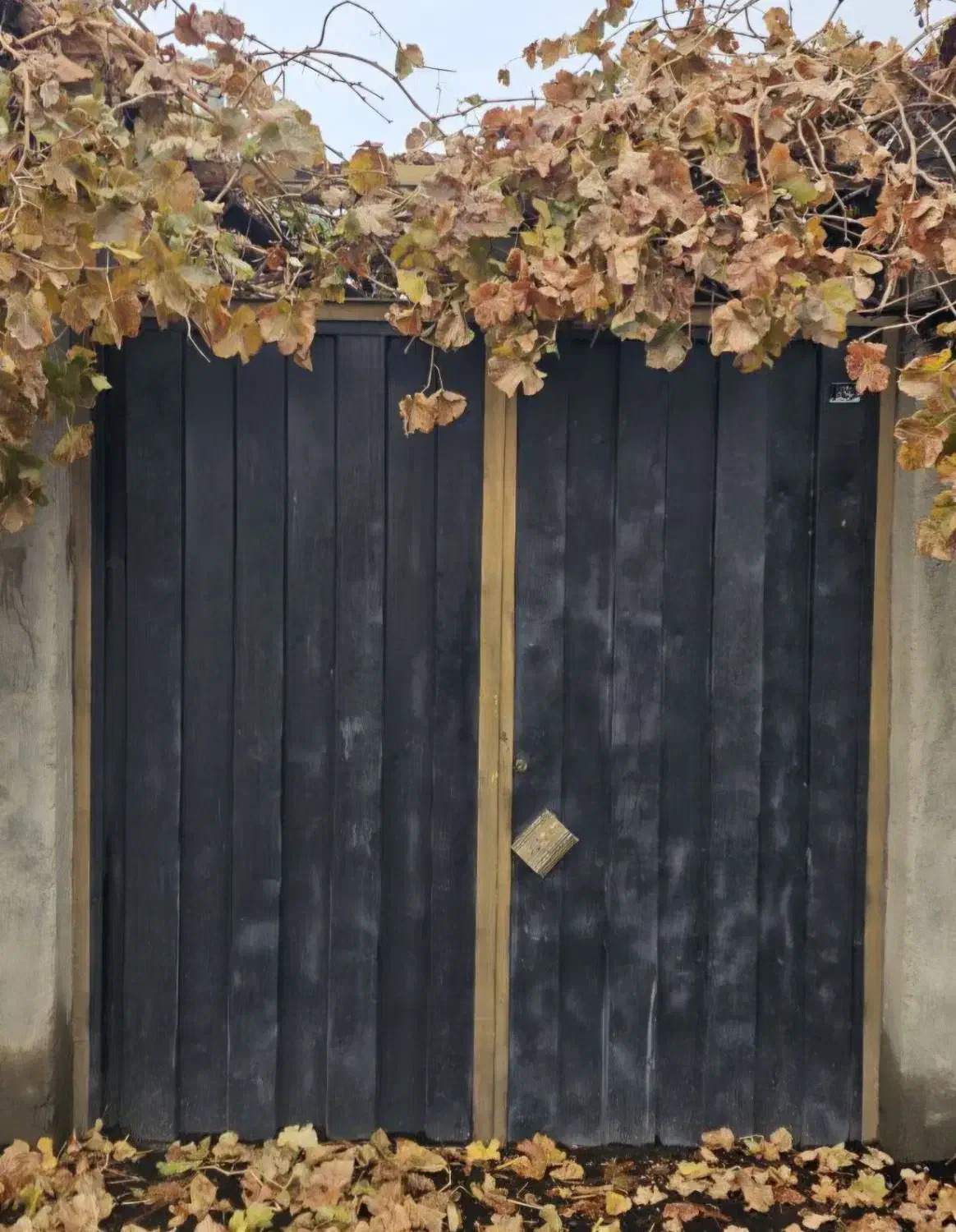 درب حیاط|مصالح و تجهیزات ساختمان|نیشابور, محله میدان باغات|دیوار