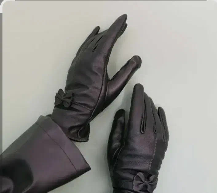 دستکش زنانه|لباس|مشهد, یاس|دیوار