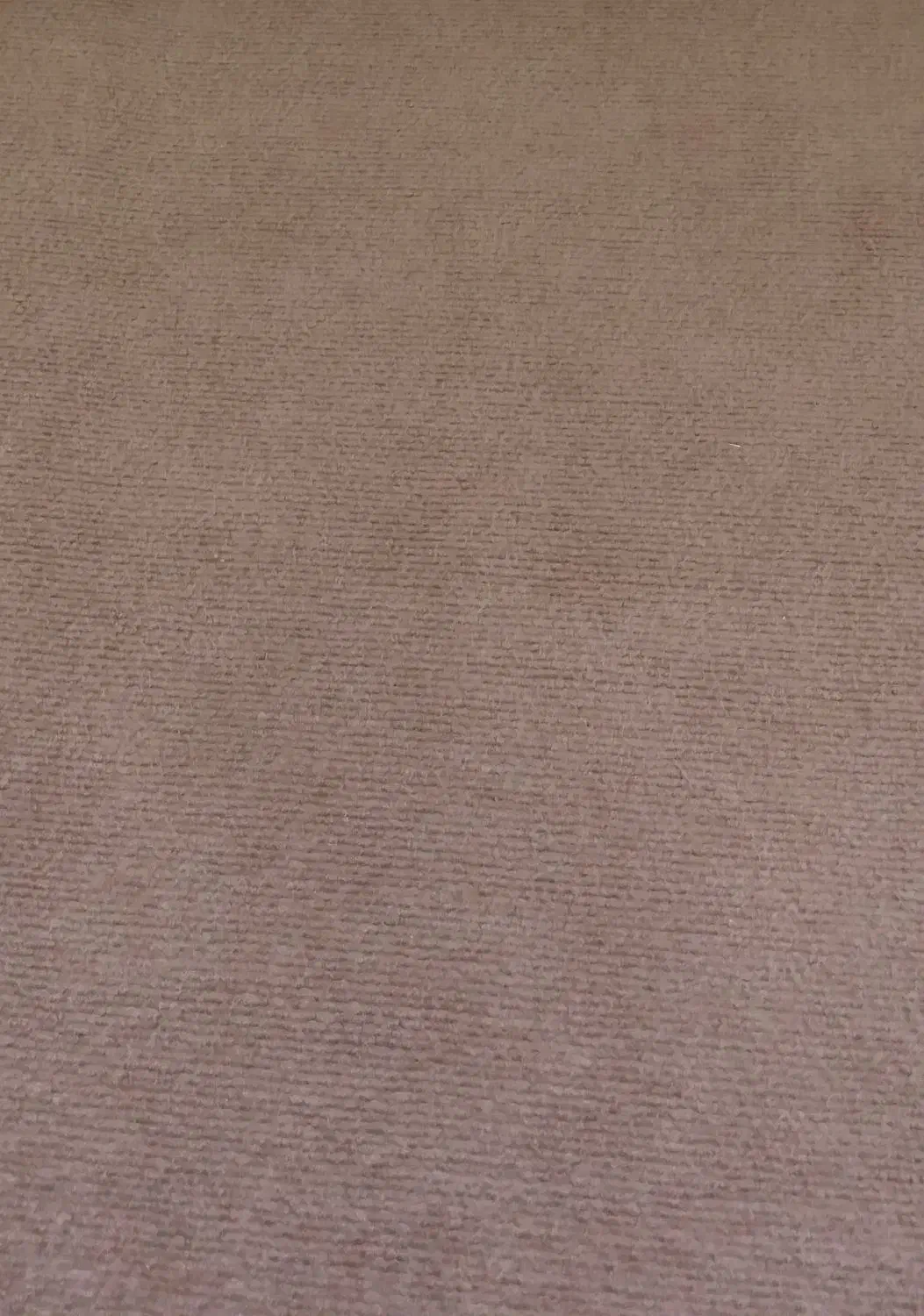 موکت|موکت|بندر ترکمن, |دیوار