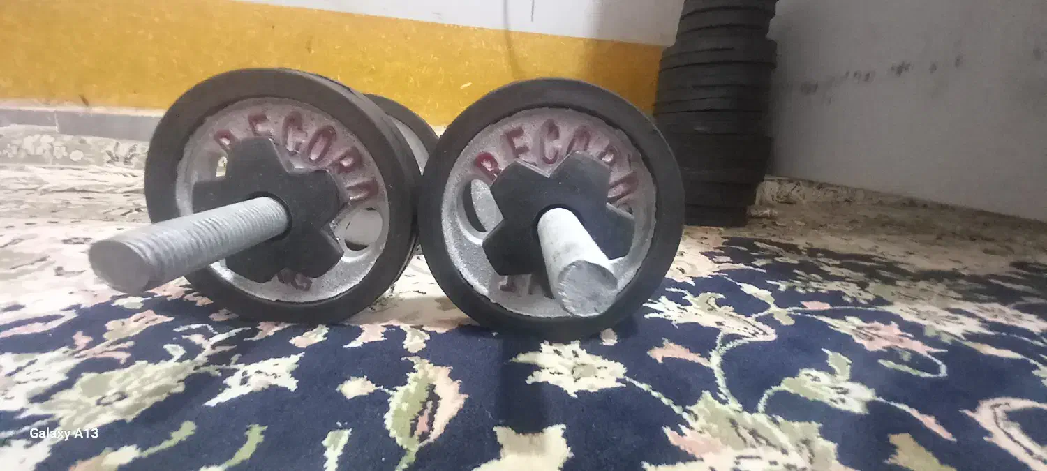 دمبل ورزشی در حد نو|تجهیزات ورزشی|سیب و سوران, |دیوار