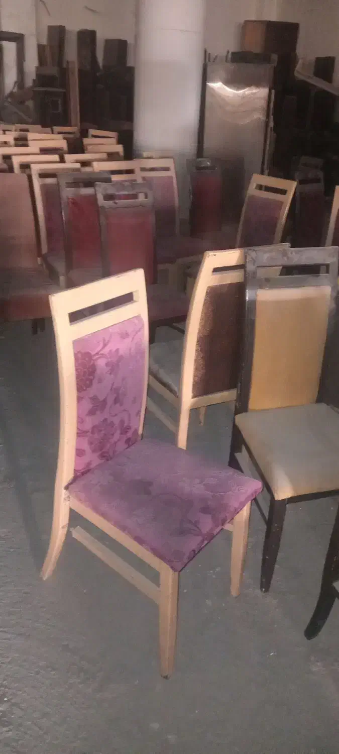 صندلی|صندلی و نیمکت|شیراز, دانشگاه شیراز|دیوار