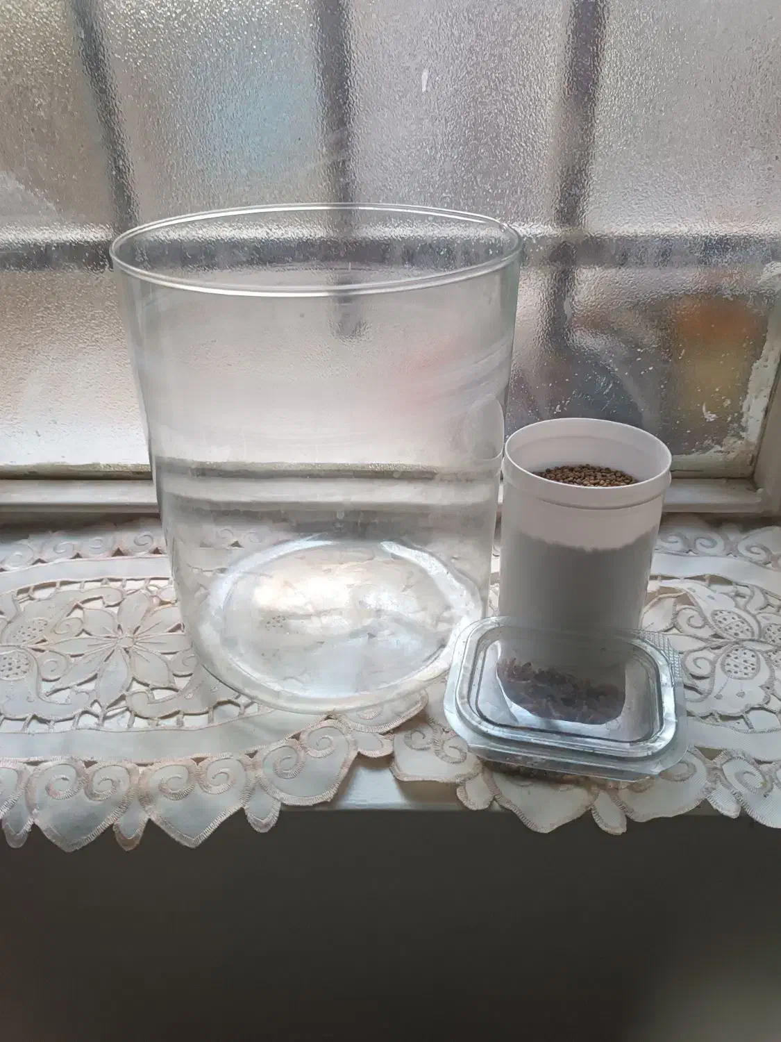 تنگ استوانه ای غذا ماهی گوپی غذا گیاه خوار|ماهی|تهران, علیآباد|دیوار