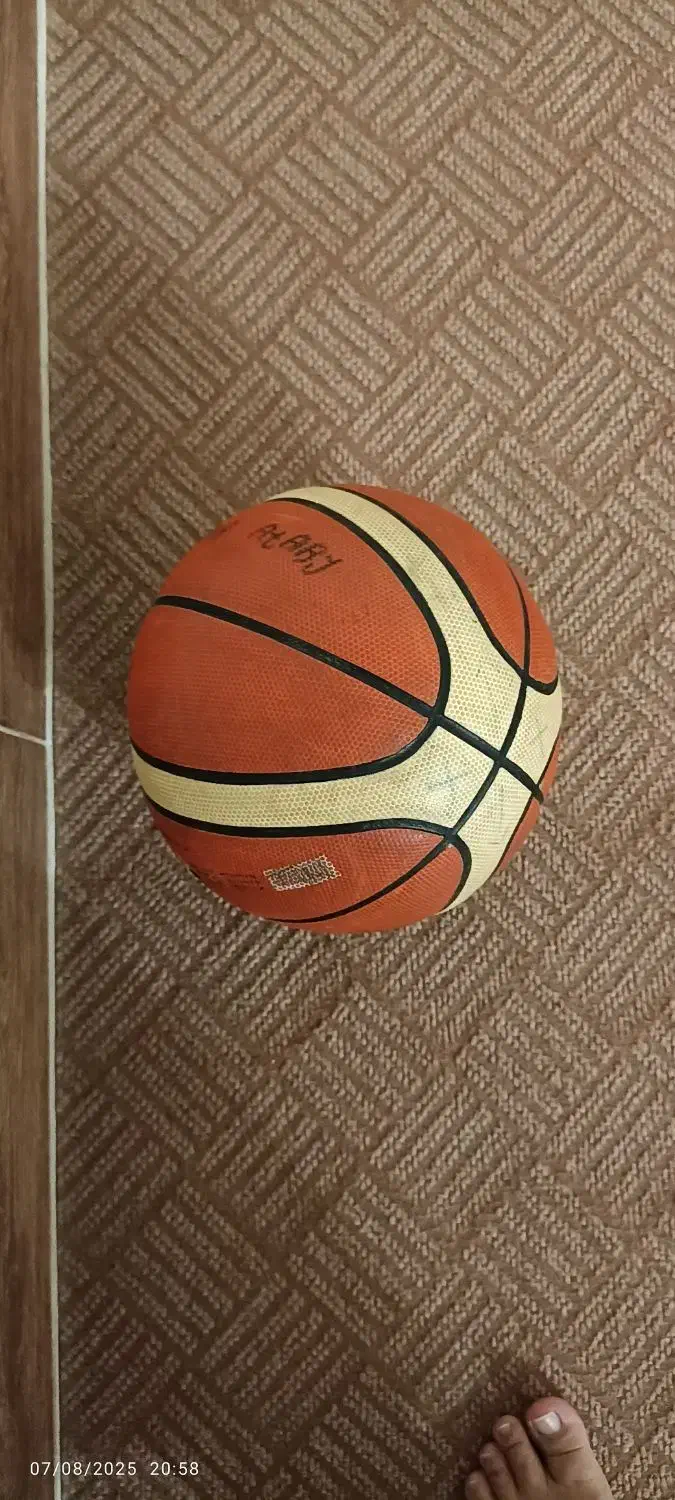 توپ بسکتبال|ورزشهای توپی|گنبد کاووس, |دیوار