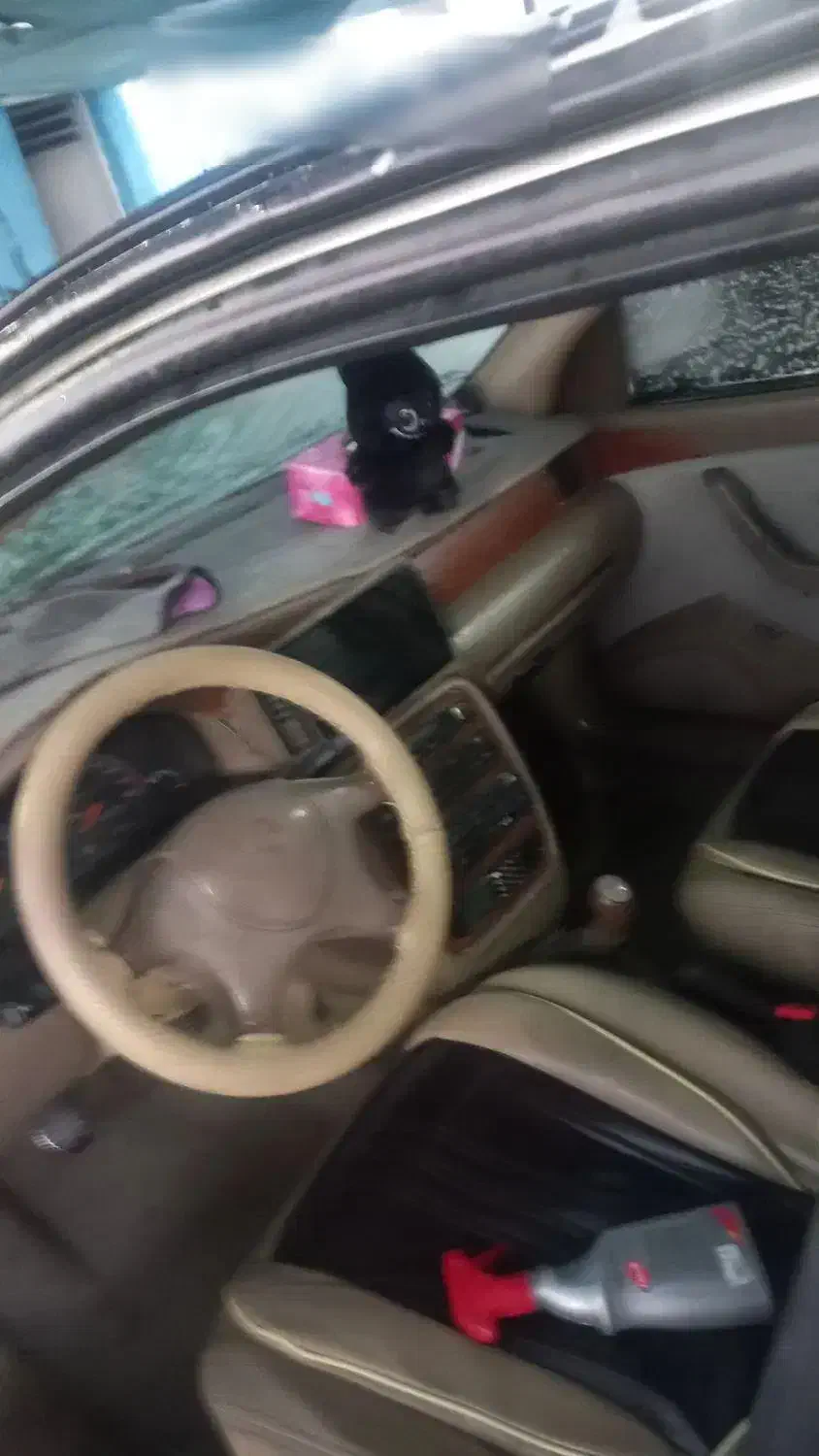 فروشی|خودرو سواری و وانت|جیرفت, |دیوار