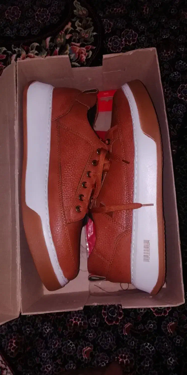 کفش|کیف، کفش، کمربند|بیرجند, |دیوار