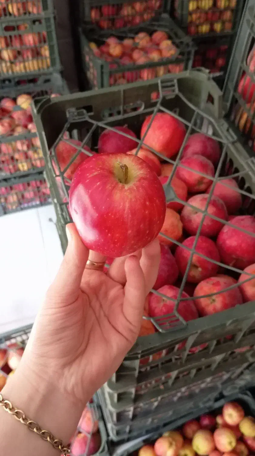 سیب تاره شهرستان ابدار خوش مزه|خوردنی و آشامیدنی|قم, سید معصوم|دیوار