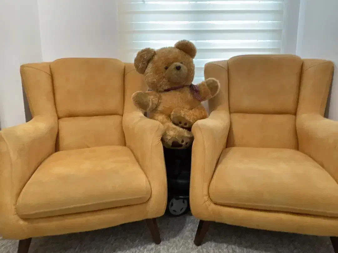 دو عدد مبل تکی|مبلمان خانگی و میز عسلی|جم, |دیوار