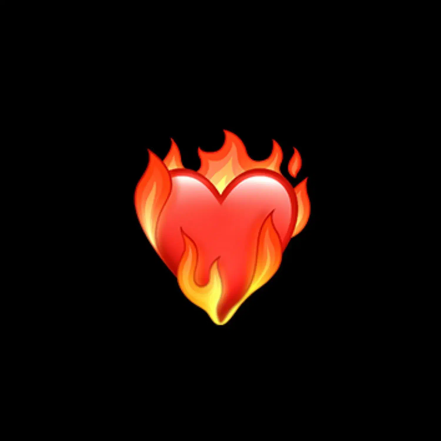 مگس‌المانی‌گم‌کردم|حیوانات|زاهدان, |دیوار