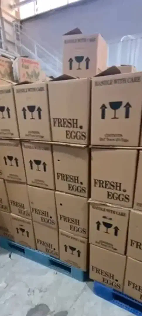 نیروی اقا نیازمندیم|استخدام صنعتی، فنی، مهندسی|رباط‌کریم, رباط‌کریم|دیوار