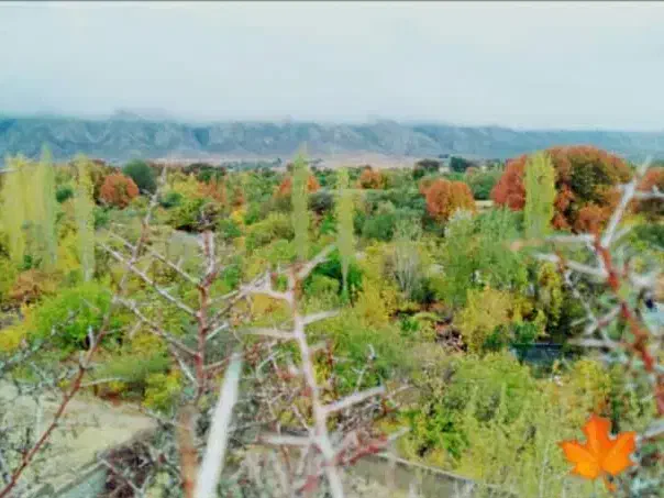 باغ|فروش دفتر صنعتی، کشاورزی، تجاری|خفر, |دیوار