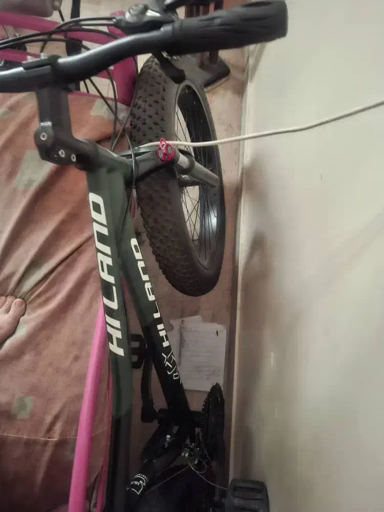 دوچرخه لاستیک پهن|دوچرخه، اسکیت، اسکوتر|ری, منصوریه منگل|دیوار