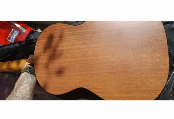 گیتار کلاسیک دالاهو|گیتار، بیس، امپلیفایر|شادگان, |دیوار