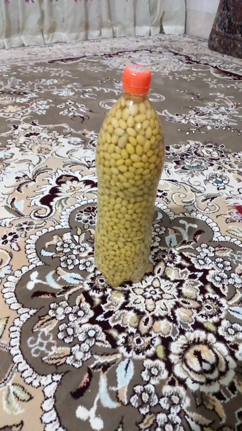 قوره توابغوره|خوردنی و آشامیدنی|قم, امامزاده ابراهیم|دیوار