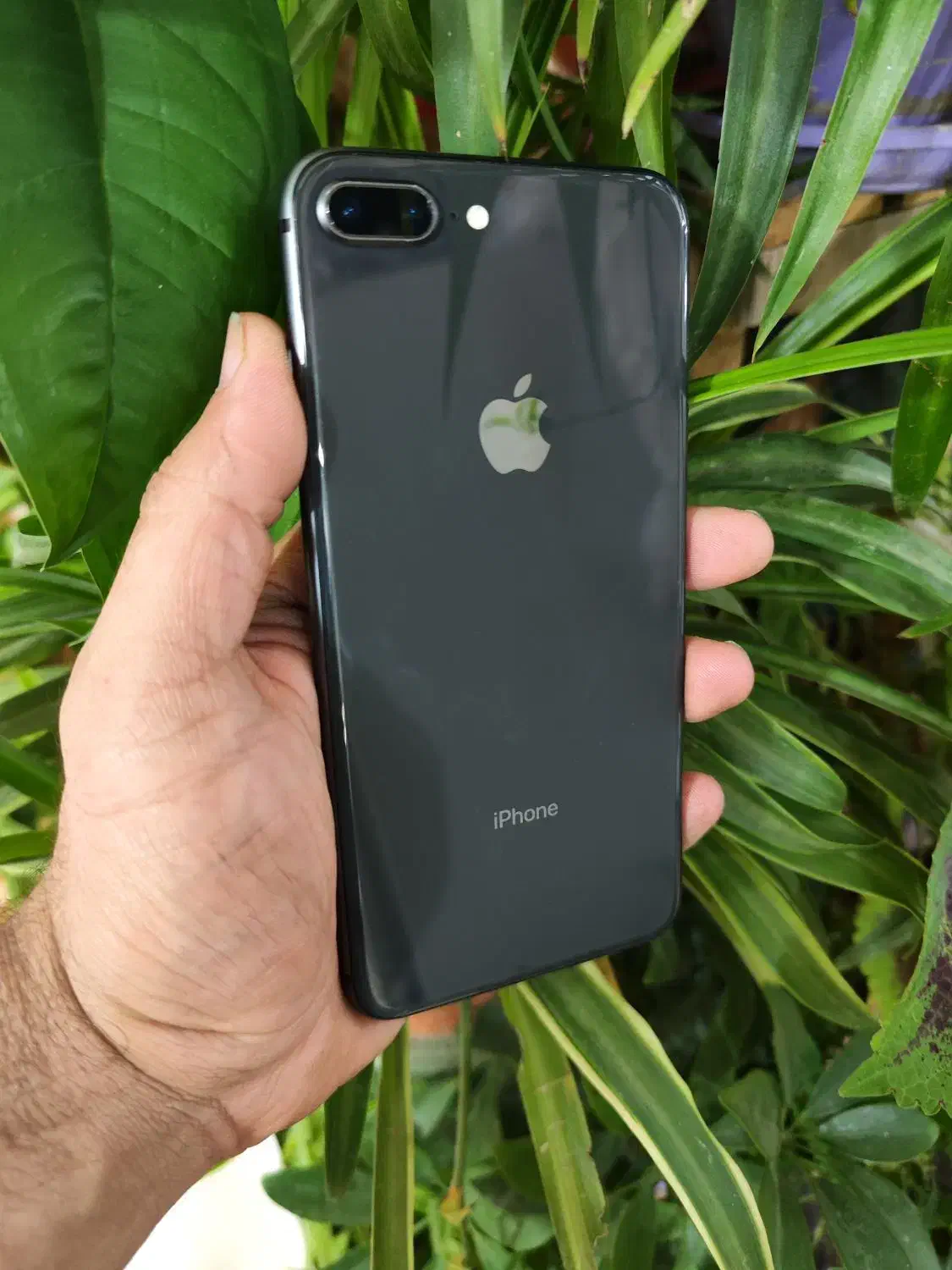 iphone 8 plus|موبایل|کرج, شهرک بنفشه|دیوار