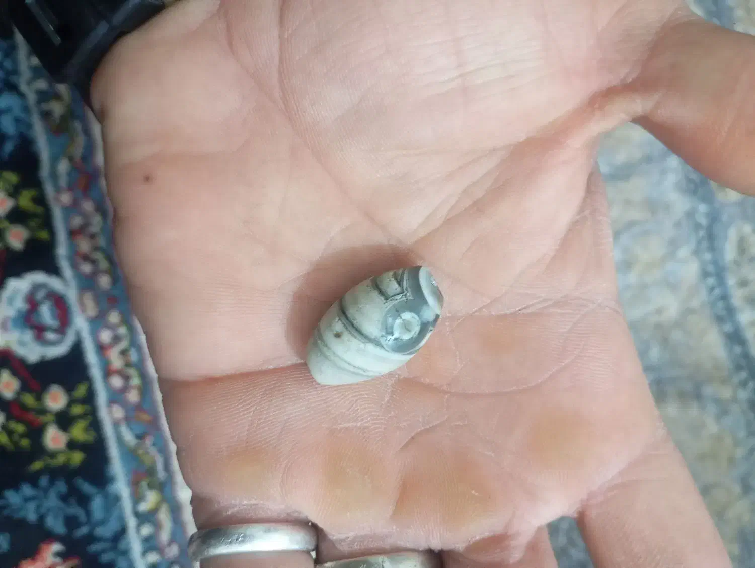 مهره اصلی|بدلیجات|توکهور, |دیوار