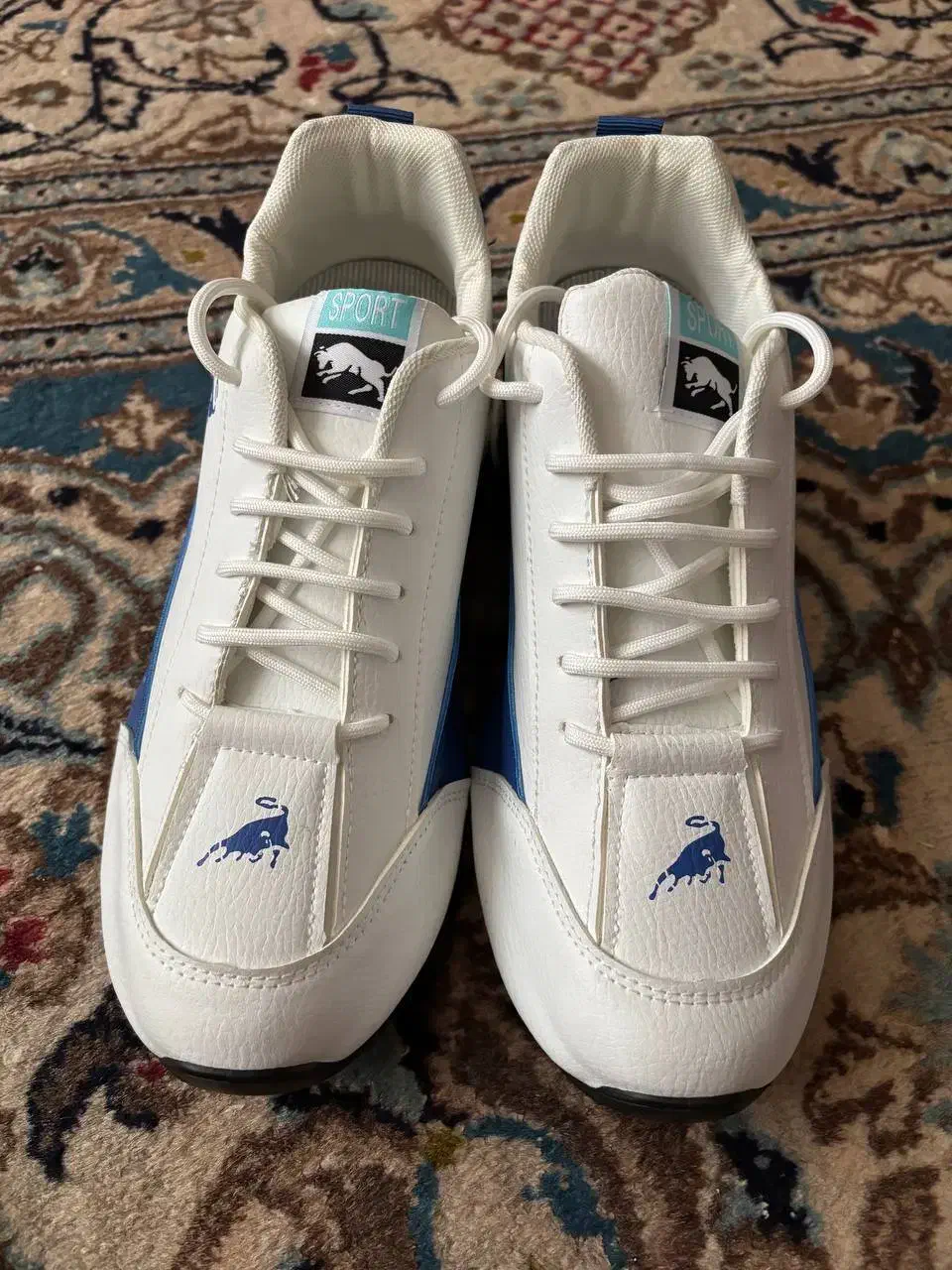 کفش خارجی|کیف، کفش، کمربند|بندر ترکمن, |دیوار