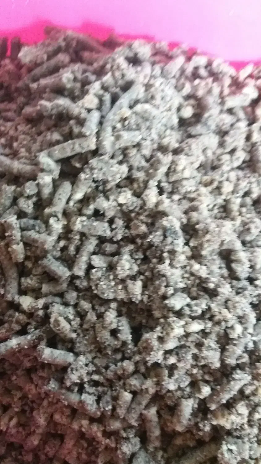 گردو اسیاب شده ومغز گردو به شرط|خوردنی و آشامیدنی|پردیس, فاز ۲|دیوار