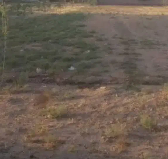 فروش فوری زمین زیر قیمت منطقه بدلیل مهاجرت|فروش زمین و ملک کلنگی|تبریز, |دیوار