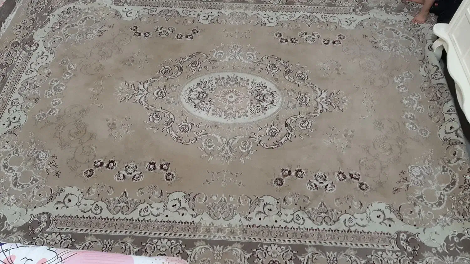 فرش ۶متری|فرش|کرمانشاه, |دیوار