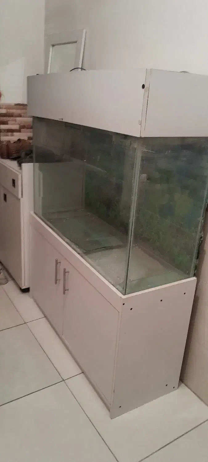 اکواریوم کمد دار|ماهی|کرج, شاهینویلا|دیوار