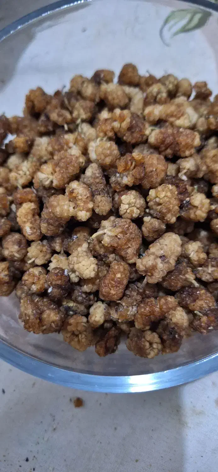 توت خشک قندی|خوردنی و آشامیدنی|مشهد, مشکینی (شهرک غرب)|دیوار